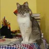 Отзыв от Марина Головина